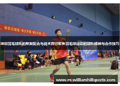 深圳羽毛球队的默契配合与战术探讨聚焦羽毛球运动的团队精神与合作技巧