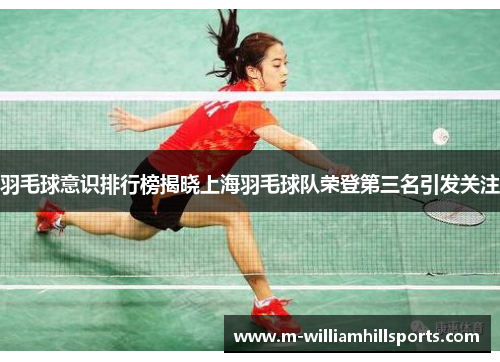 羽毛球意识排行榜揭晓上海羽毛球队荣登第三名引发关注