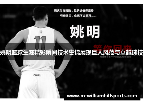 姚明篮球生涯精彩瞬间技术集锦展现巨人风范与卓越球技
